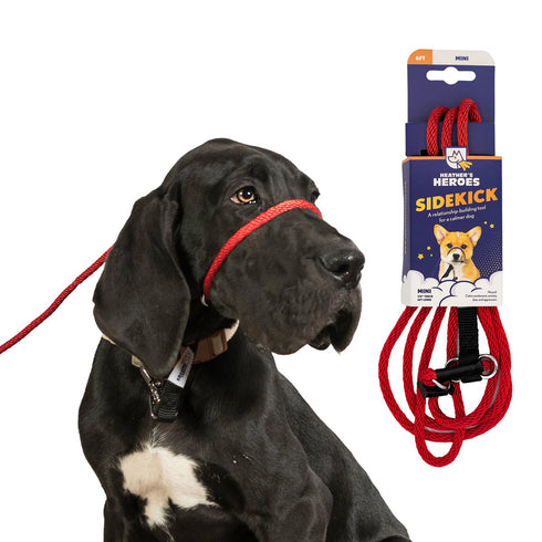 Heather's Heroes Sidekick Mini 1/4" x 6' Red Dog Leash poudrefeed.com